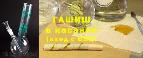 прущие грибы Алзамай