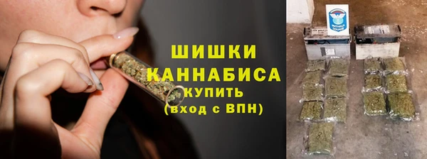 прущие грибы Алзамай