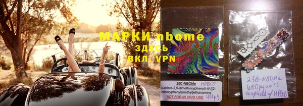 прущие грибы Алзамай
