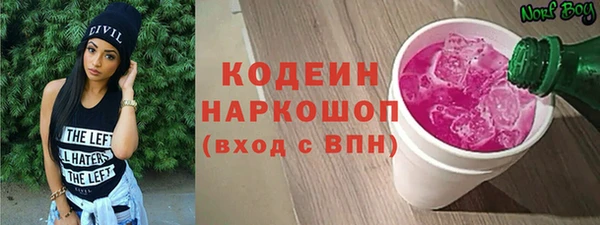прущие грибы Алзамай