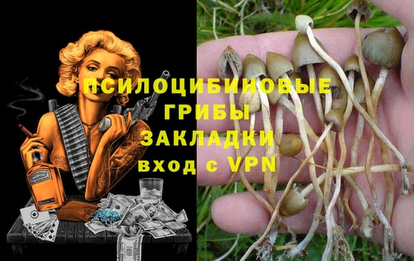 прущие грибы Алзамай