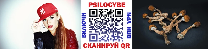 магазин продажи наркотиков  Новоульяновск  Псилоцибиновые грибы мухоморы 